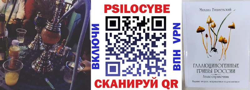 Псилоцибиновые грибы MAGIC MUSHROOMS  МЕГА tor  Арамиль  как найти закладки 